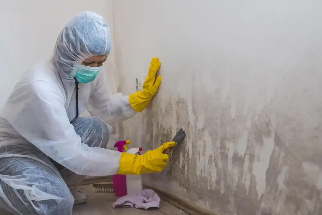 water damage restoration service Loudon-Melrose